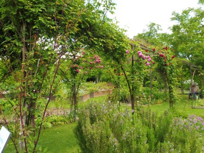 Priorato di Salagon, rose rampicanti