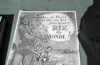 Riso di Camargue, uno dei più bei risi del mondo