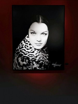 Romy Shneider in uno scatto dello Studio Harcourt