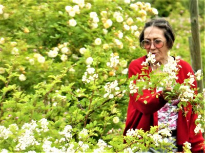 Roseline Giorgis tra le sue rose