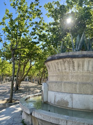 Saint-Tropez, place des Lices © Saint-Tropez Tourisme