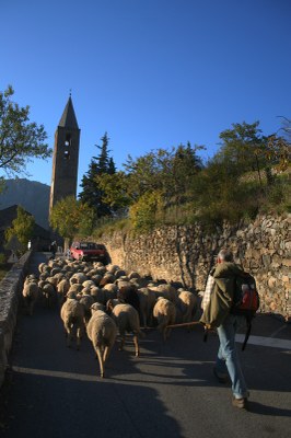Saorge, curiosa processione alla Madonna del Poggio