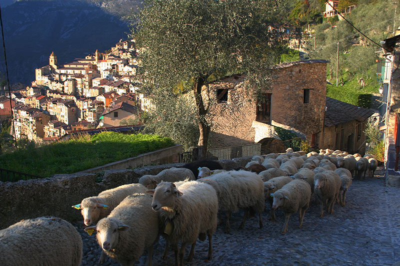 Saorge, panorama