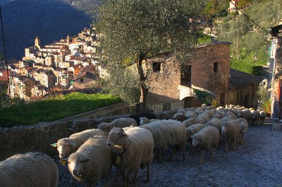 Saorge, panorama