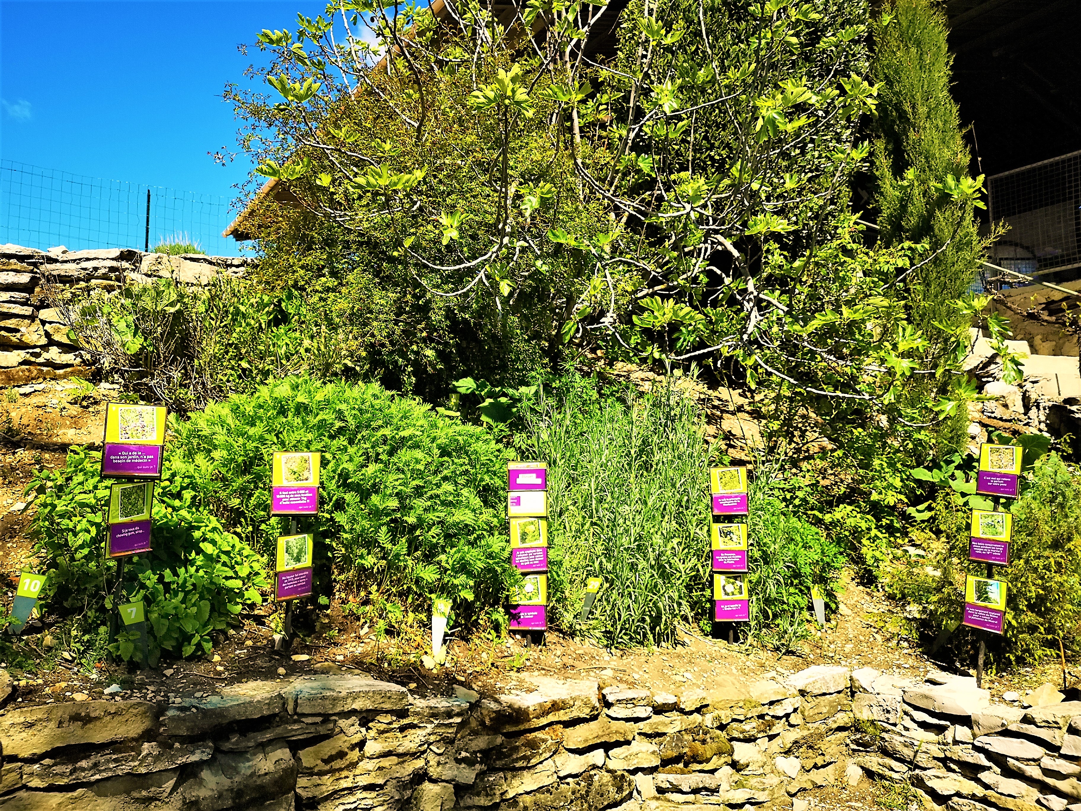 Sault, Aroma'Plantes, la piantoteca