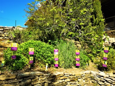 Sault, Aroma'Plantes, la piantoteca
