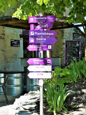 Sault, Aroma'Plantes, orientarsi nell'azienda agricola