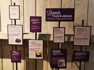 Sault, Aroma'Plantes, segreti e trucchi della lavanda