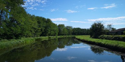 Sul canale, immersi nella natura