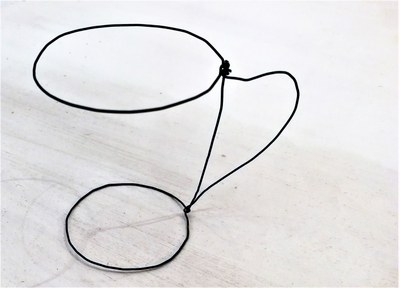 Tazza