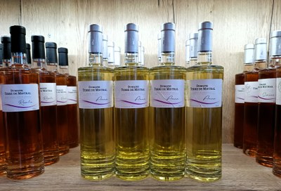 Terre de Mistral - Bianchi e rosé