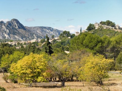 Un'estate in Provenza, la campagna attorno a Eygalières