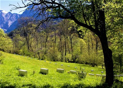 Viapac, Edge-stones, di Richard Nonas, particolare © Alpes-de-Haute-Provence Tourisme