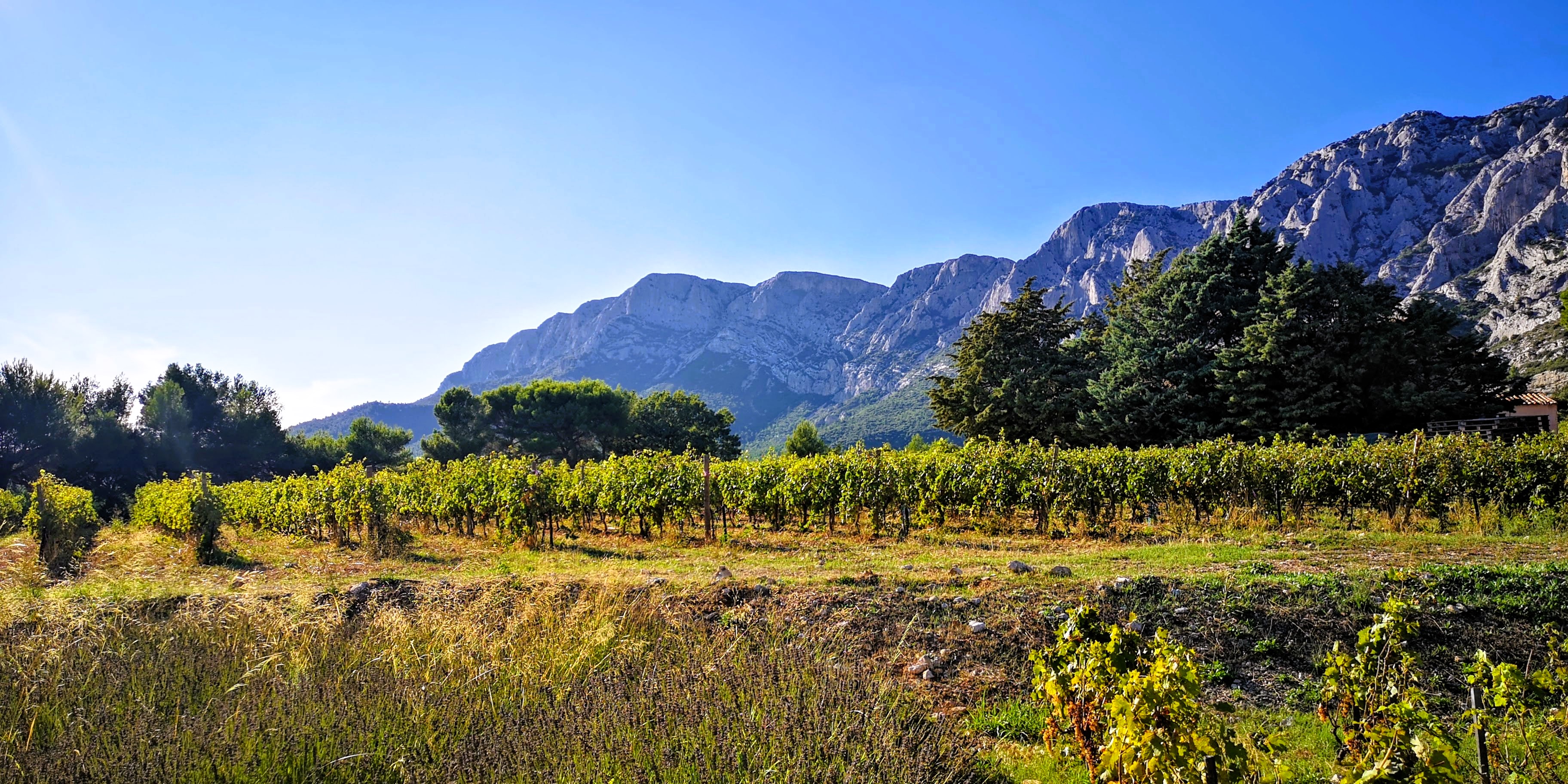Vigneti ai piedi della Sainte-Victoire