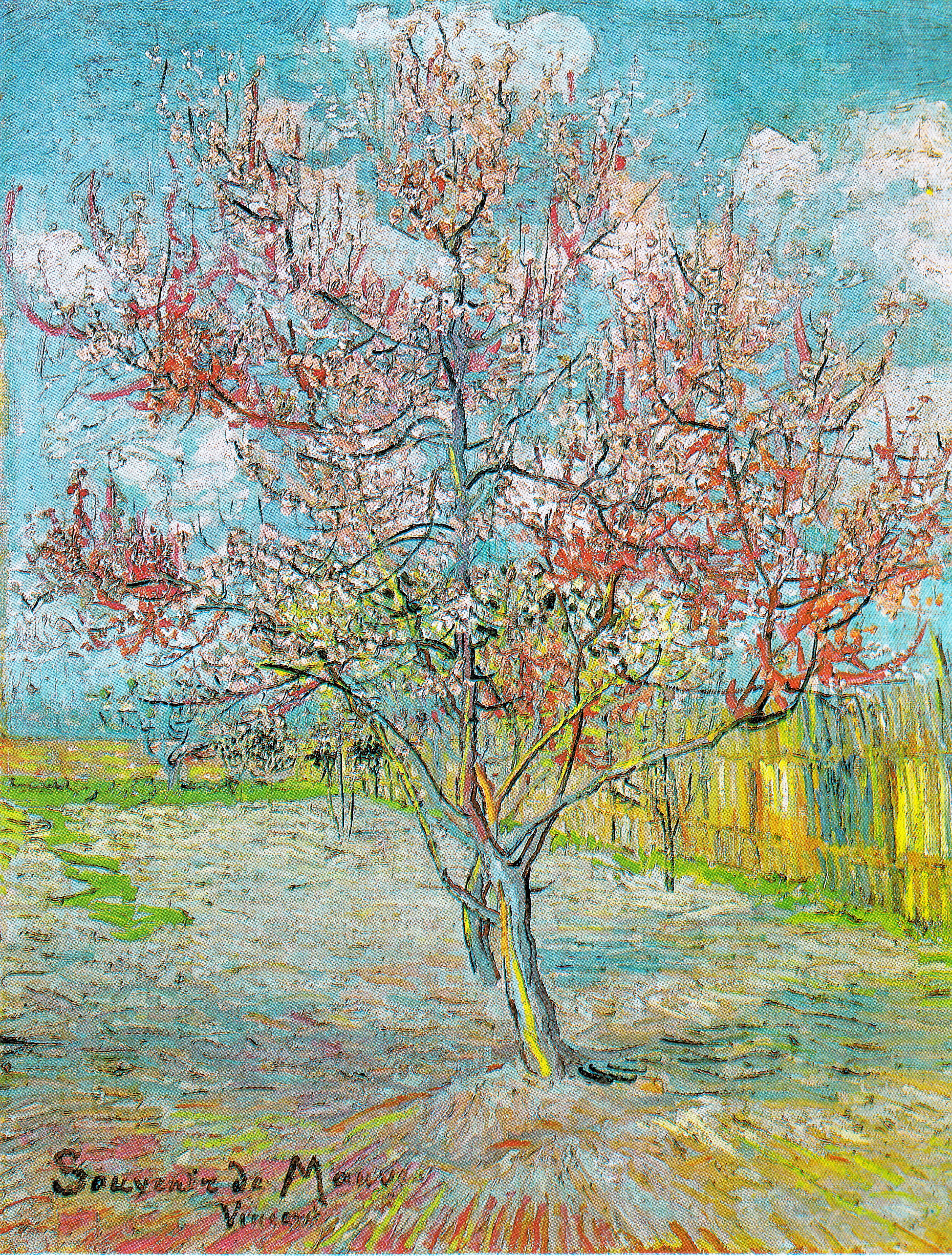 Vincent van Gogh, Pink peach tree, 1888