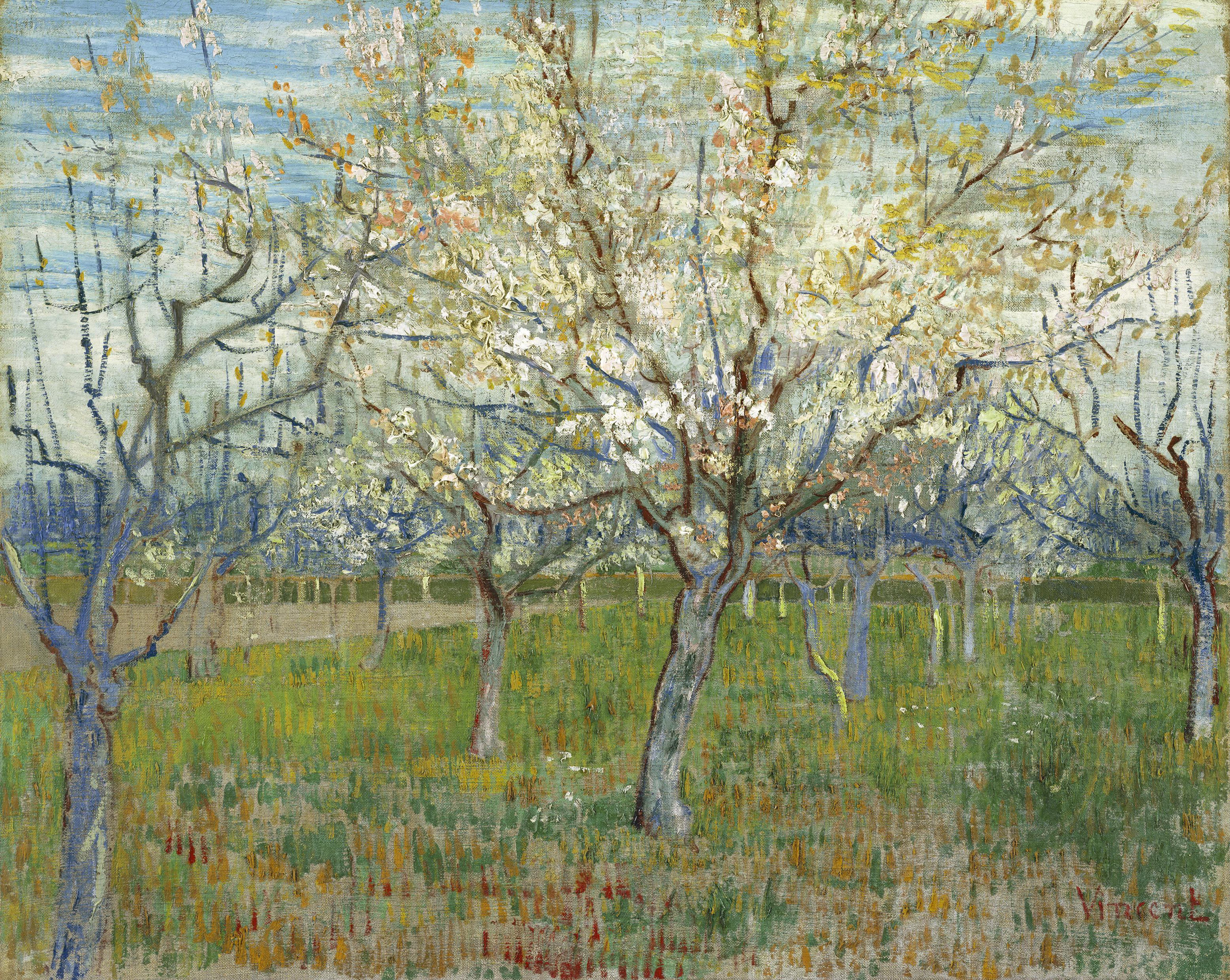 Vincent van Gogh, The Pink Orchard also Orchard with Blossoming Apricot Trees, 1888