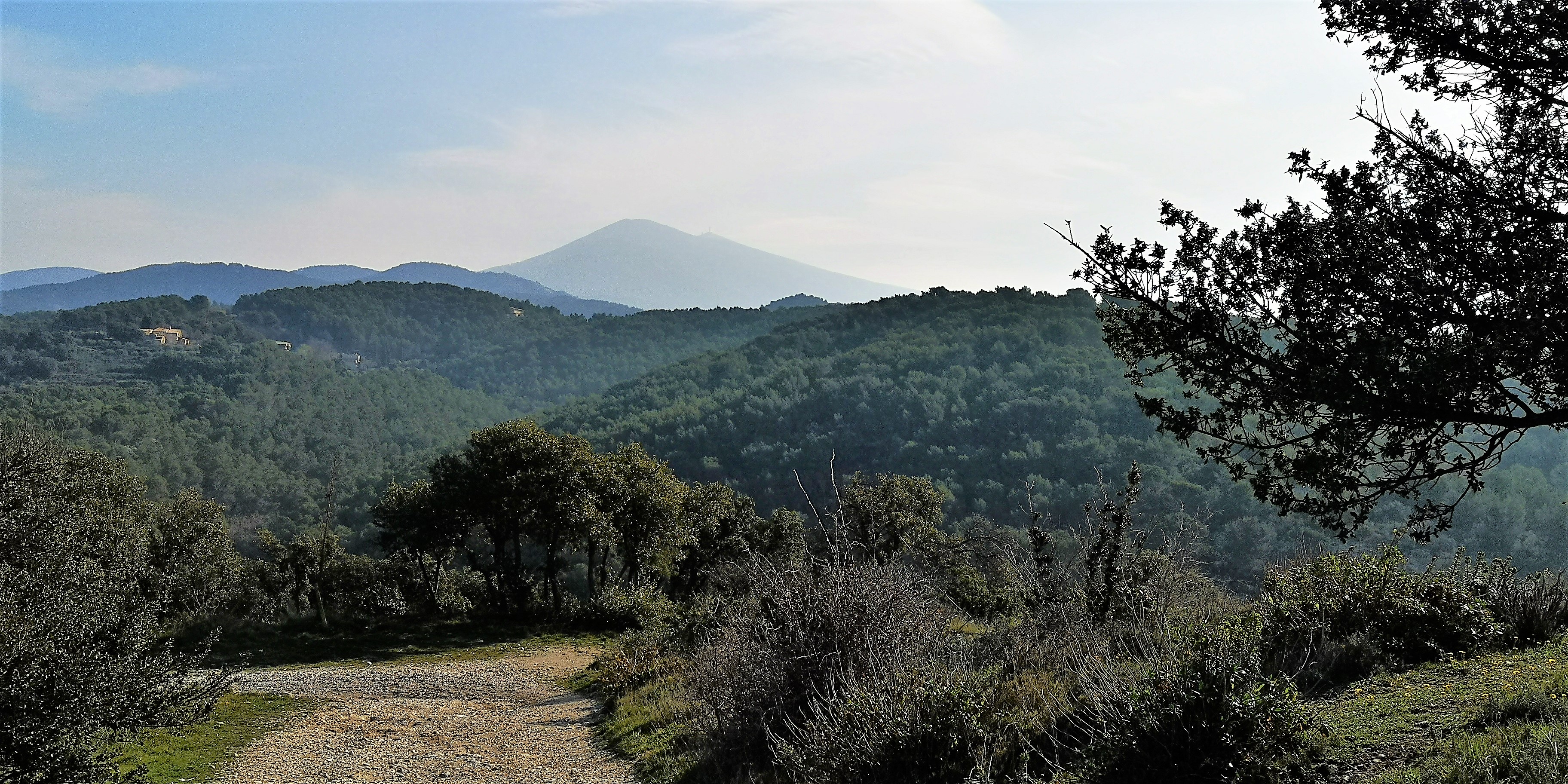 Vista dallo Château du Barroux, con il Mont Ventoux sullo sfondo.jpg
