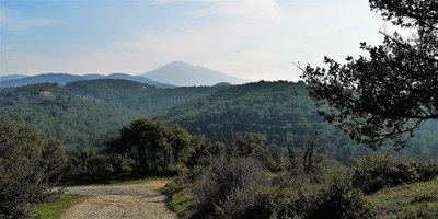 Vista dallo Château du Barroux, con il Mont Ventoux sullo sfondo.jpg