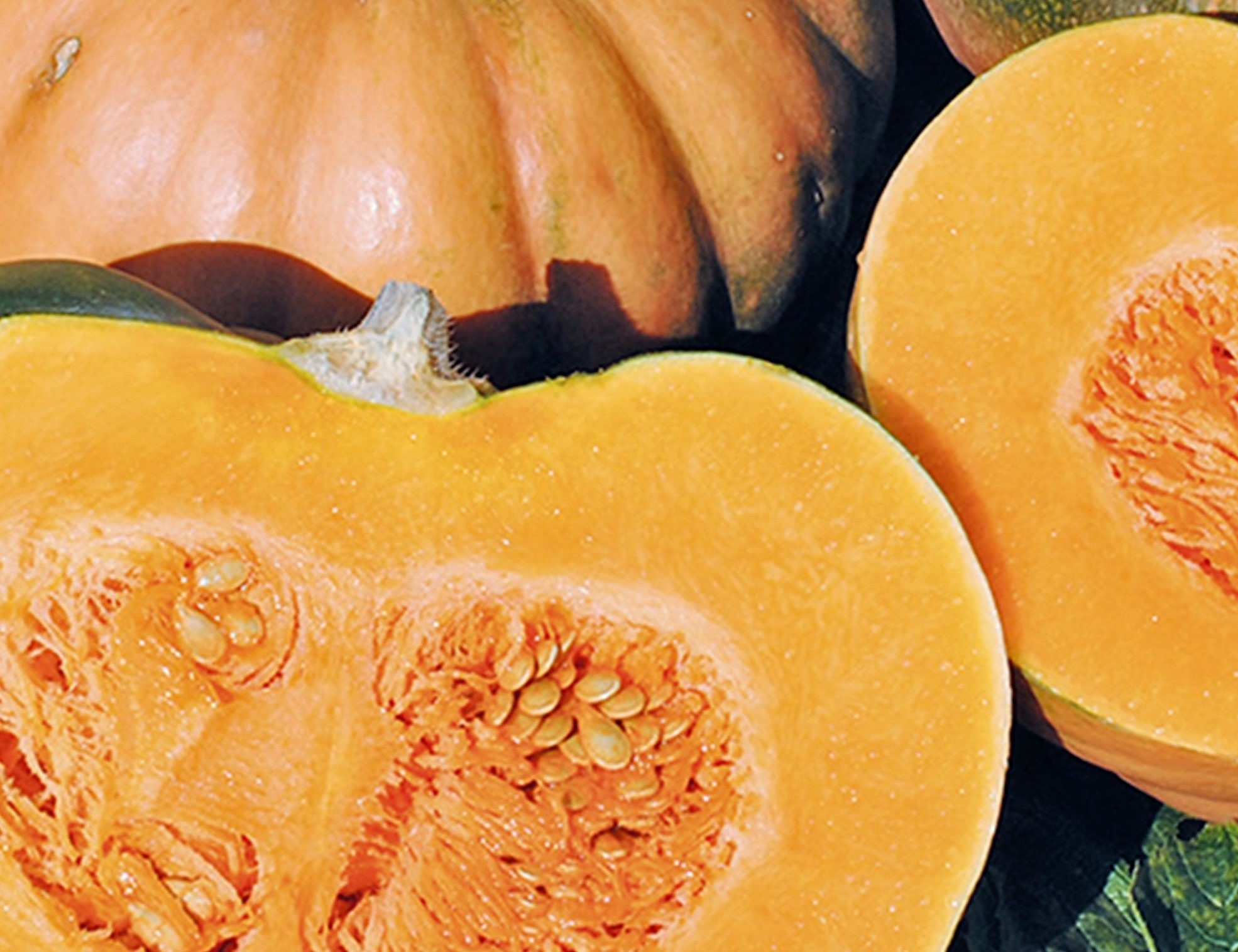 Zucca moscata di Provenza
